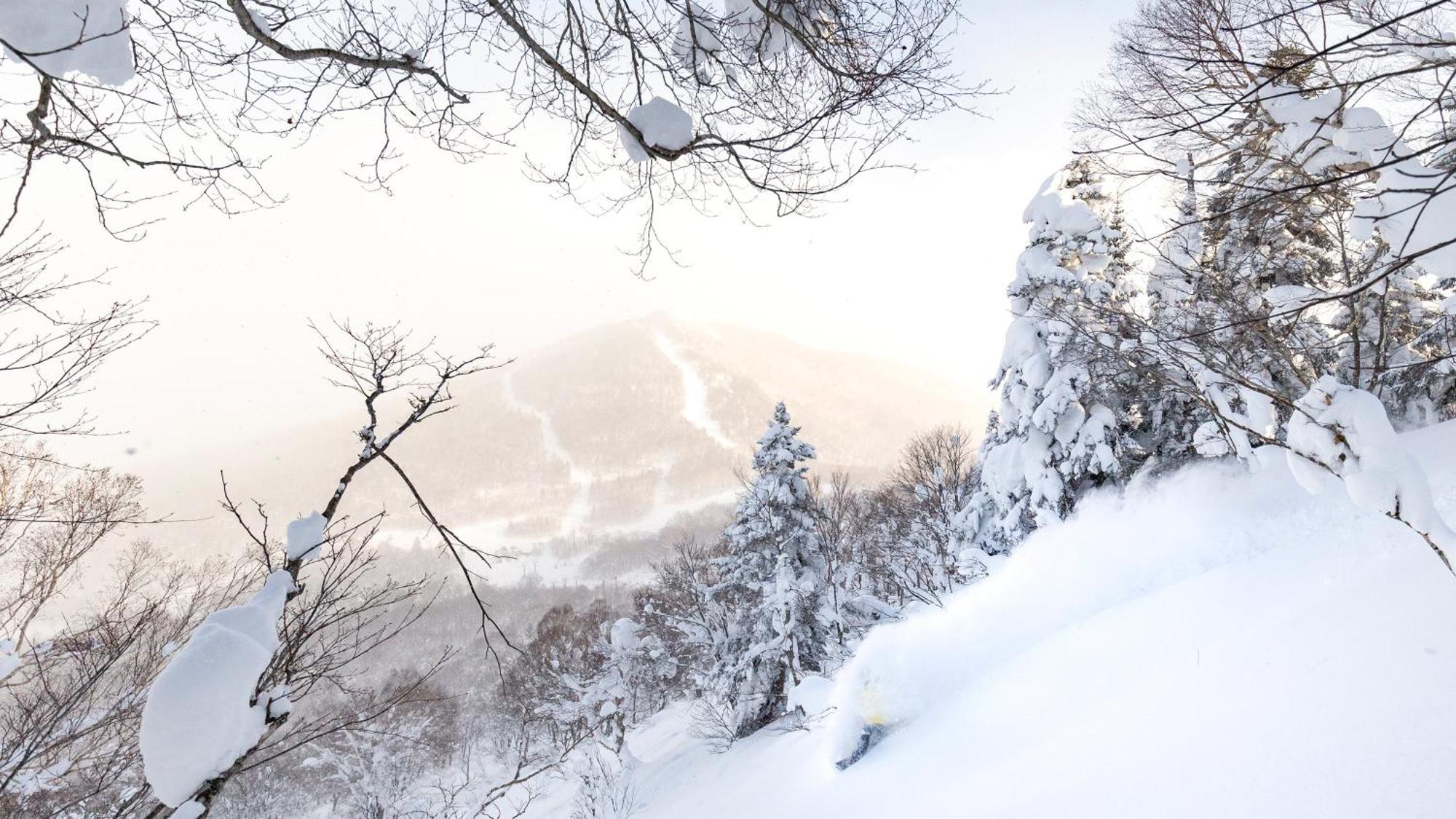 Ana Intercontinental Appi Kogen Resort By Ihg Hachimantai  Dış mekan fotoğraf
