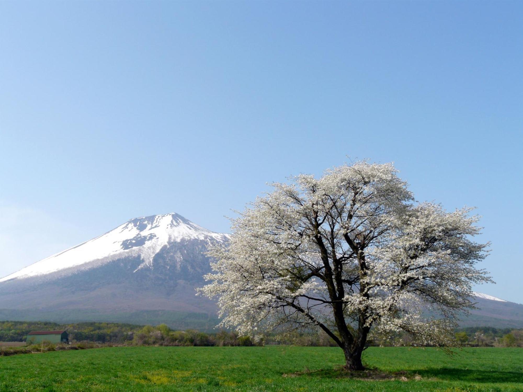 Ana Intercontinental Appi Kogen Resort By Ihg Hachimantai  Dış mekan fotoğraf